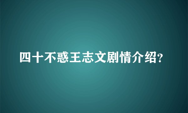四十不惑王志文剧情介绍？