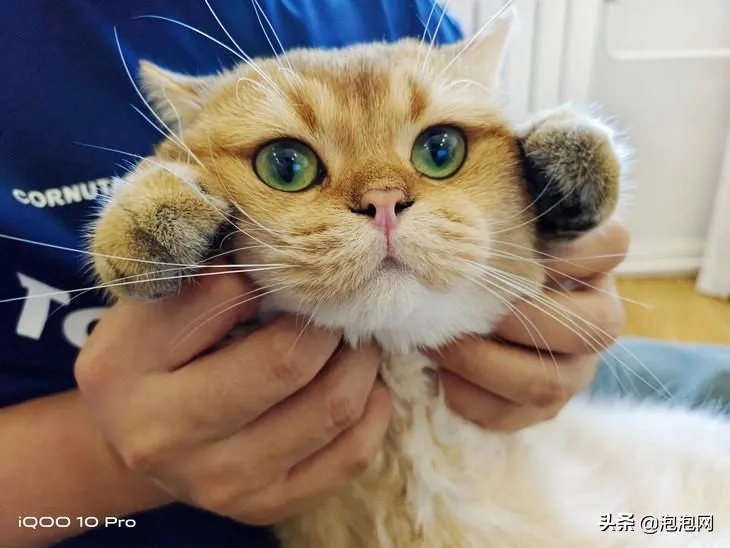 2k10时间修改器（真正进入十分钟充满电的时代）