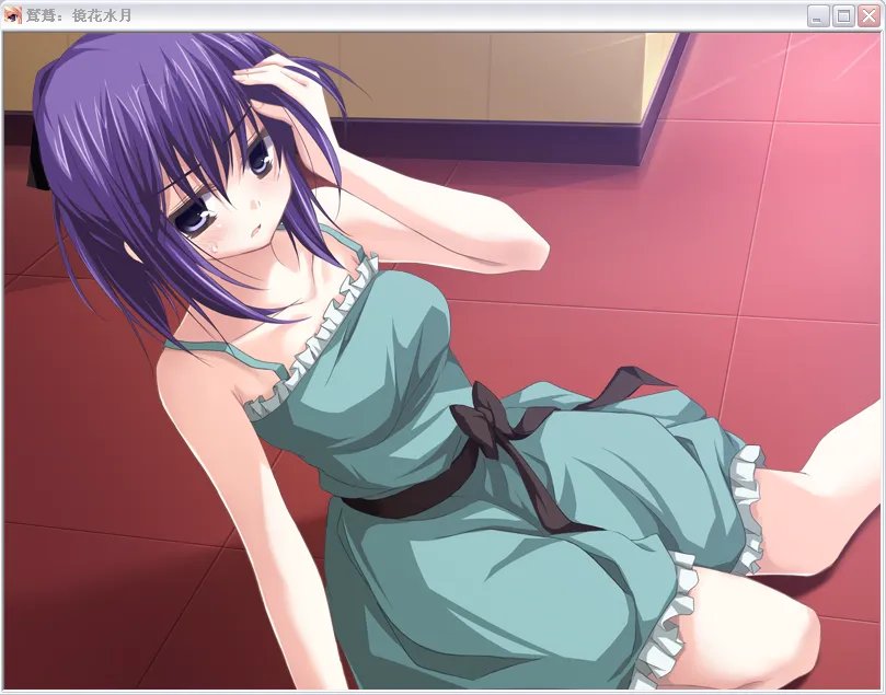 鸑鷟:镜花水月——玩后小结