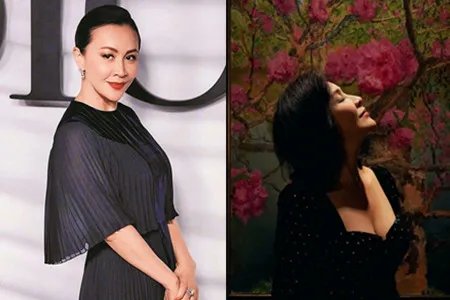 刘嘉玲周海媚合影 多年未见感觉还是很亲切