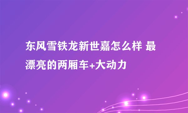 东风雪铁龙新世嘉怎么样 最漂亮的两厢车+大动力