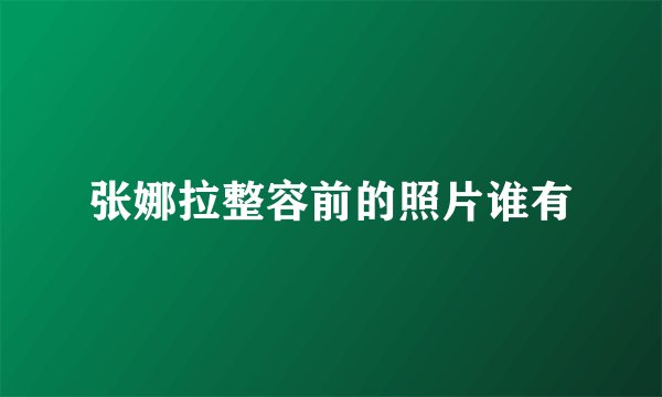 张娜拉整容前的照片谁有