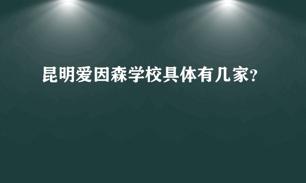 昆明爱因森学校具体有几家？