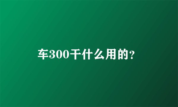 车300干什么用的？