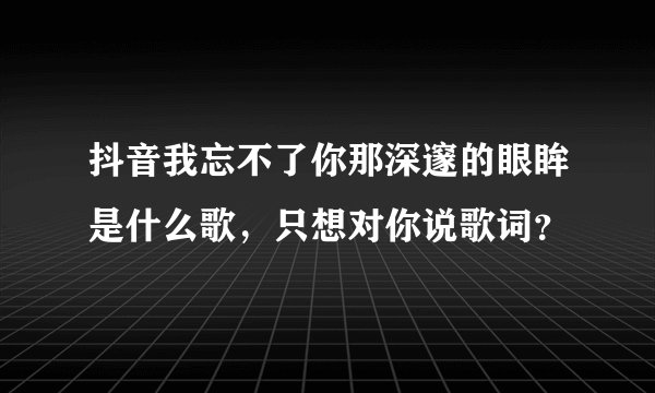 抖音我忘不了你那深邃的眼眸是什么歌,只想对你说歌词?