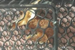 连续捕鼠器的制作方法？