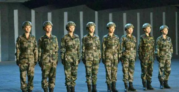 特种兵之火凤凰主要演的什么剧情?