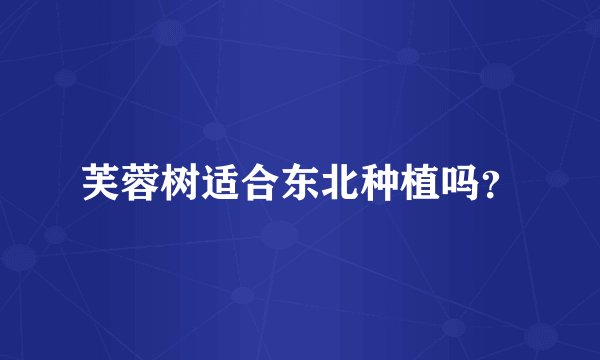 芙蓉树适合东北种植吗？