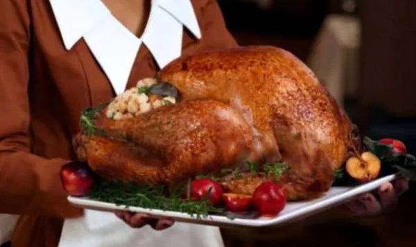 中国为什么不养殖火鸡