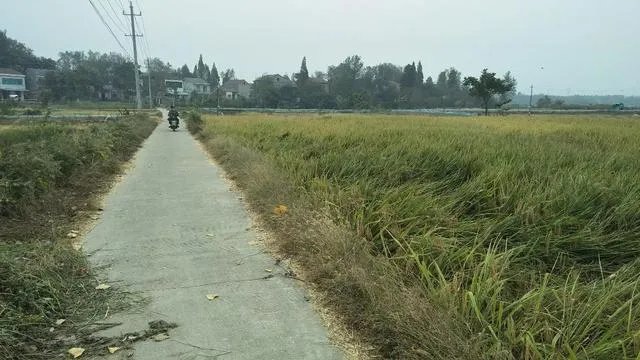 农村自建房三层真实图