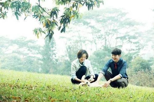 “因为爱情有幸福”中的插曲有哪些？