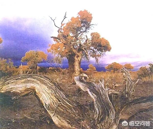 新疆塔克拉玛干沙漠能去旅游吗?