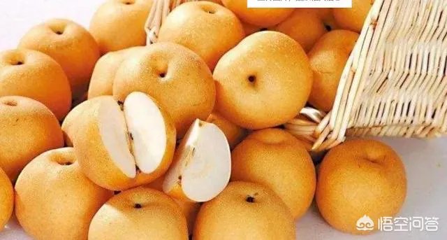 河南商丘龙卷风，上万亩梨园被毁，今年梨价会迎来一轮增长吗？