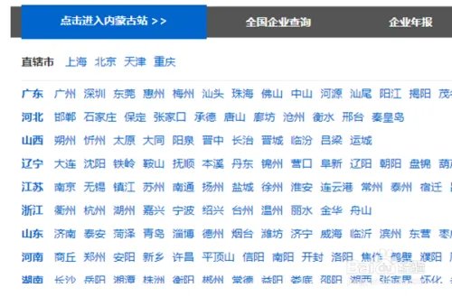 内蒙古工商局网上年检申报流程