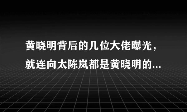 黄晓明背后的几位大佬曝光,就连向太陈岚都是黄晓明的干妈,这一位就更厉害了!