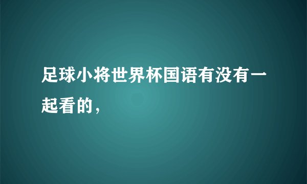 足球小将世界杯国语有没有一起看的，