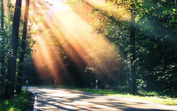 济南出现短暂丁达尔效应,所谓的丁达尔效应究竟是什么?