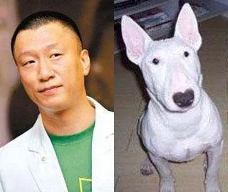 长得像孙红雷的狗叫什么名字？