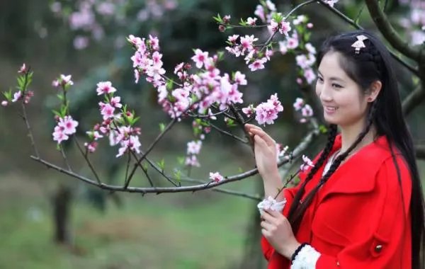 桃花西施的介绍