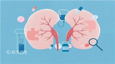 肾囊肿怎么引起