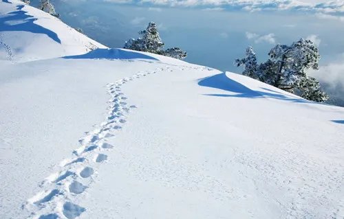 60岁老太醉倒雪地冻僵无人搀扶  民警雪中送炭化险为夷！