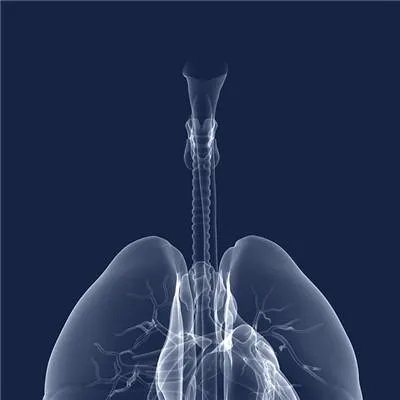 肝癌术后如何保养