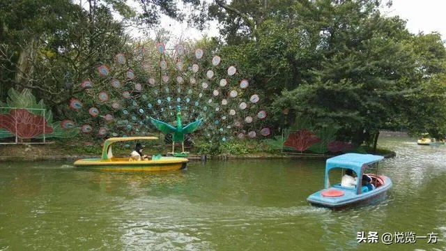 广州周末亲子游好去处？