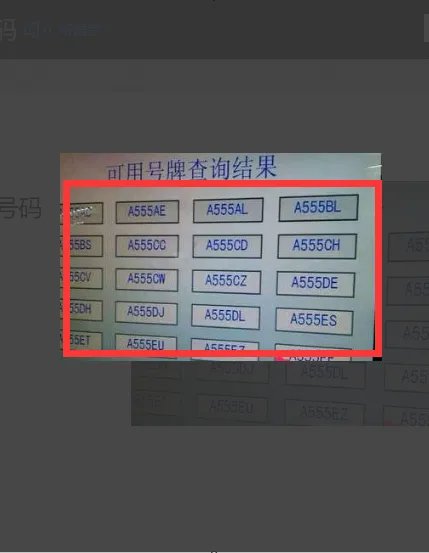 自选车牌号查询系统