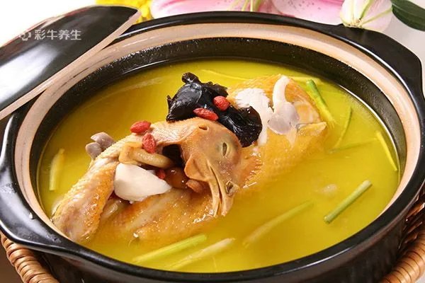 健脾养胃汤有哪些