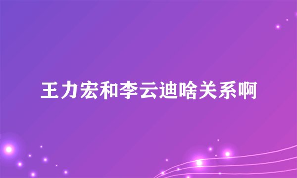 王力宏和李云迪啥关系啊