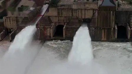 众星捐款驰援河南洪灾,这样的明星是否才值得我们追崇?