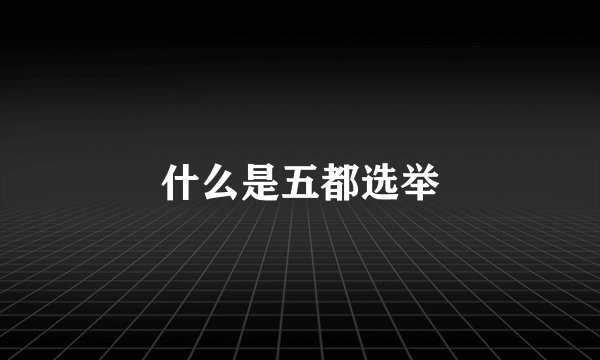 什么是五都选举