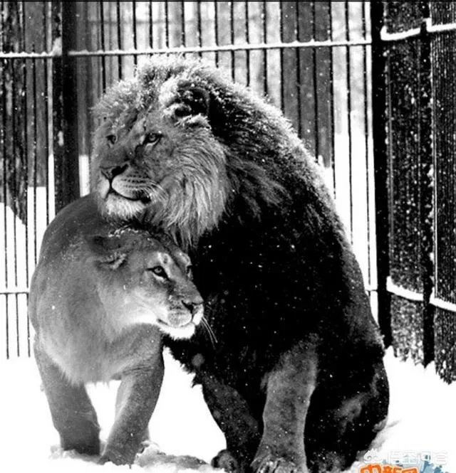 大家收藏的最匪夷所思的图片是怎样的？