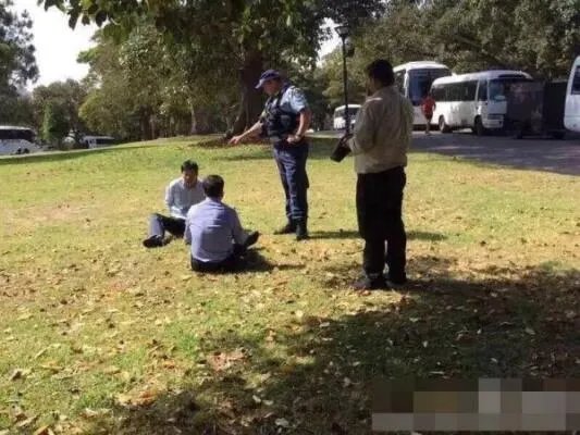 中国游客在澳随地便溺 装病拘捕传闻是否属实