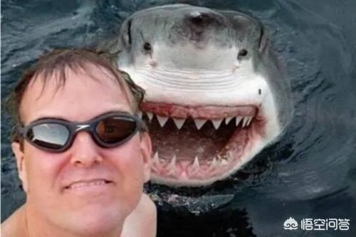 如何看待游客悬崖自拍跌落事件？