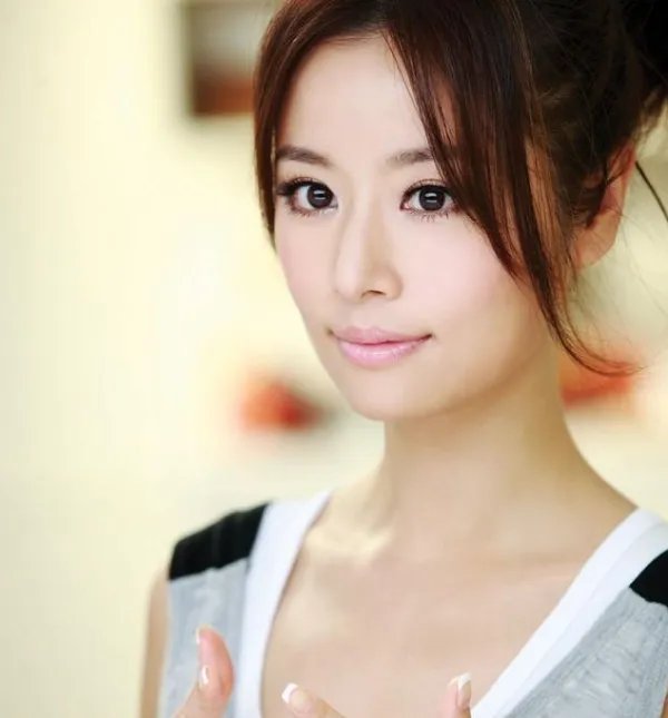 林心如诈捐门事件