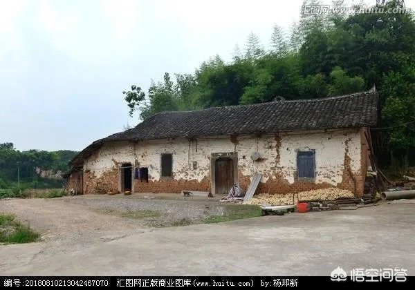 你们农村致富故事有哪些？