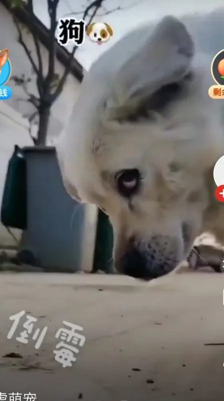 男朋友和前女友联系我怎么办？