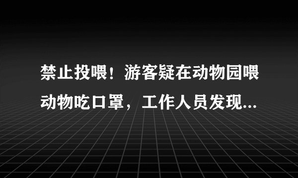 禁止投喂！游客疑在动物园喂动物吃口罩，工作人员发现后急忙拽出