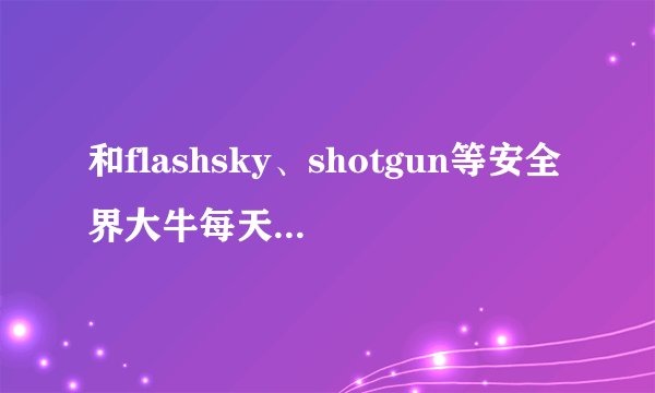 和flashsky、shotgun等安全界大牛每天谈笑风生是什么样的体验?
