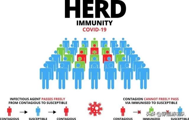 瑞典疫情严重到什么情况?