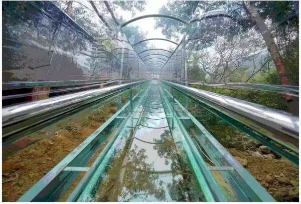 辽宁虎谷峡玻璃栈道发生事故造成了多少人员伤亡？