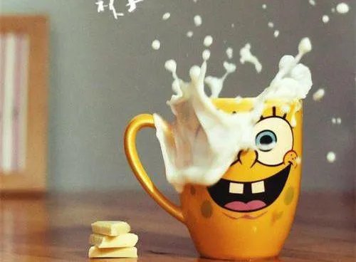 温室的花的句子正能量