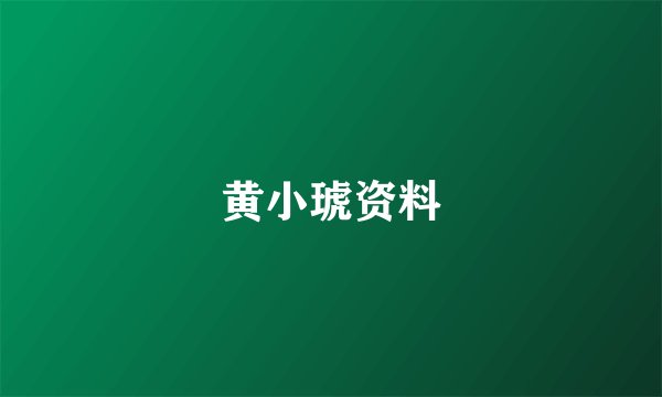 黄小琥资料