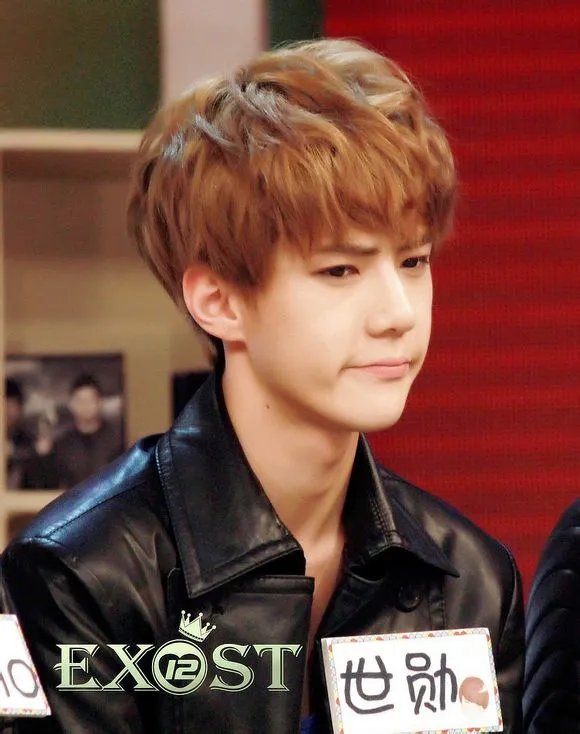 球吴世勋快本可爱颂的动图、还有他其他的动图+图片都可以 要萌啊