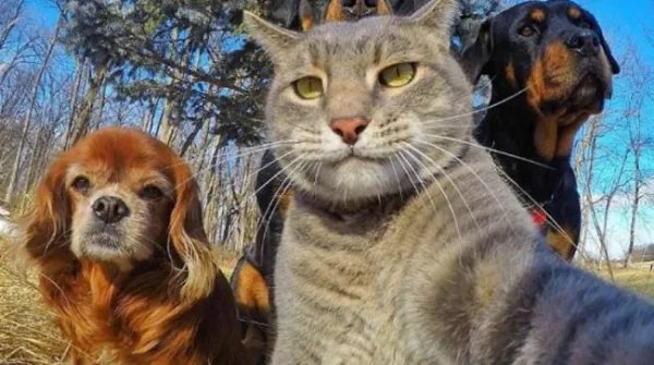 FUNNY MUD PEE是什么梗?