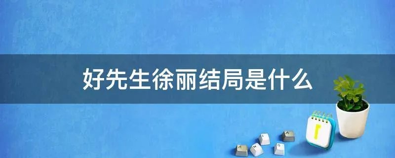 好先生徐丽结局是什么