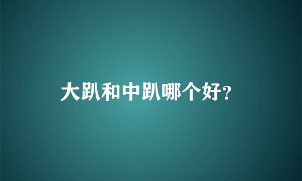 大趴和中趴哪个好？