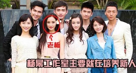 林心如诈捐门事件