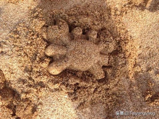 北戴河、南戴河和东戴河，哪里的人少，环境好？